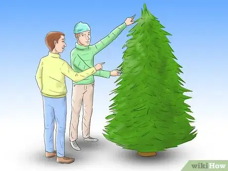 Image titled Care for a Christmas Tree Step 1