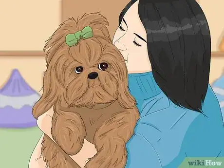 Image titled Take Care of a Shih Tzu Step 13