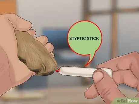 Image titled Stop a Dog from Bleeding Step 12