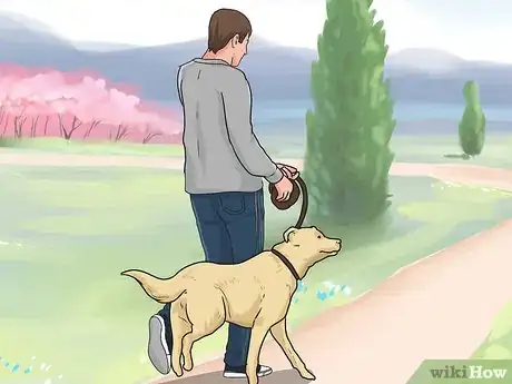 Image titled Keep Your Dog from Being Bored Step 17