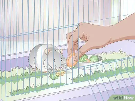 Image titled Get a Hamster to Sleep Step 3