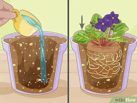 Image titled Make African Violet Soil Mix Step 9