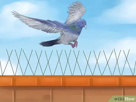 Image titled Get Rid of Pigeons Step 1