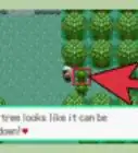 Get Cut in Pokémon Emerald