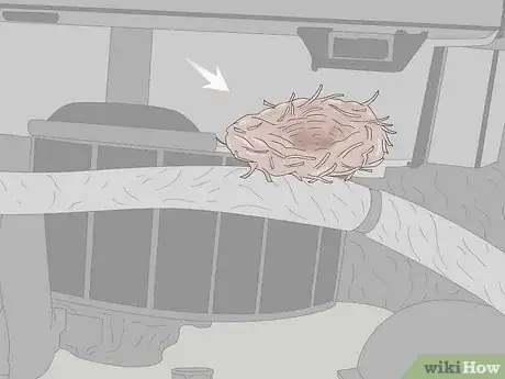 Image titled Get a Mouse Out of Your Car Step 10