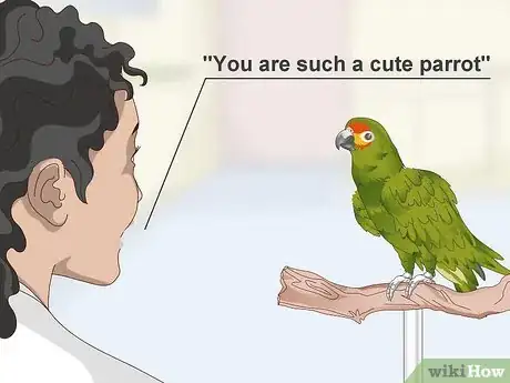 Image titled Deal with an Aggressive Amazon Parrot Step 12