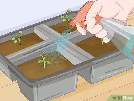 Image titled Thin Out Seedlings Step 10