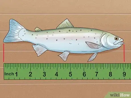 Image titled Catch Trout Step 16