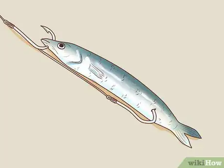 Image titled Catch Kingfish Step 10