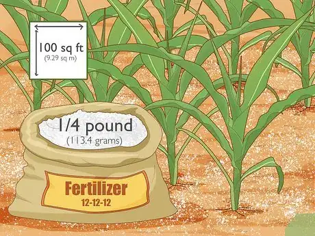 Image titled Grow Popcorn Step 7