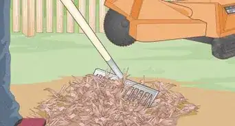 Use a Stump Grinder