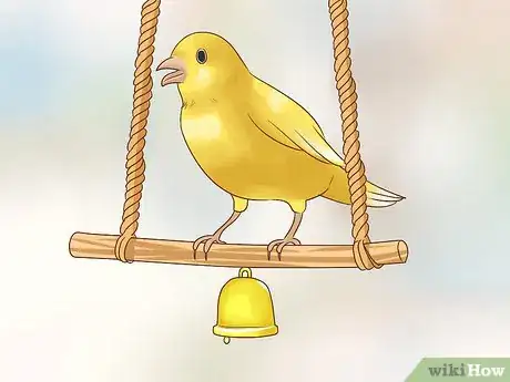 Image titled Keep a Single Canary Step 11