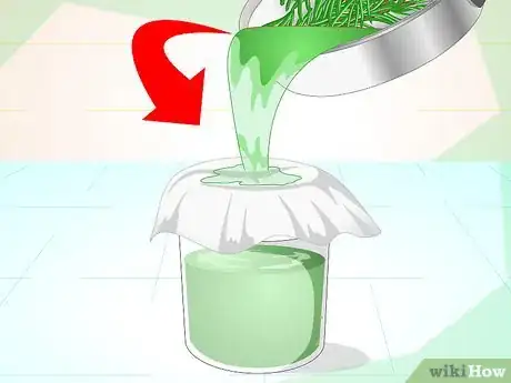 Image titled Make an Herbal Flea Remedy for Cats Step 20