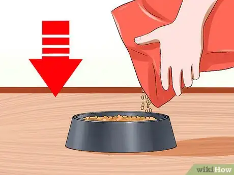 Image titled Ensure That Your Cat Finishes Its Food Step 7