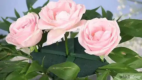 Image titled Make a Floral Arrangement Using a Foam Block Inside a Container Step 7