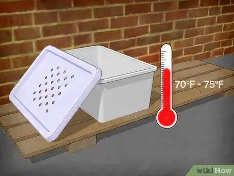 Image titled Breed Mealworms Step 4