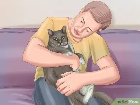 Image titled Show Affection to a Cat Step 5