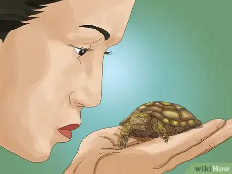 Image titled Care for a Tortoise Step 18