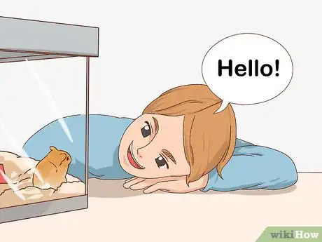 Image titled React when Your Gerbil Bites or Scratches Step 7