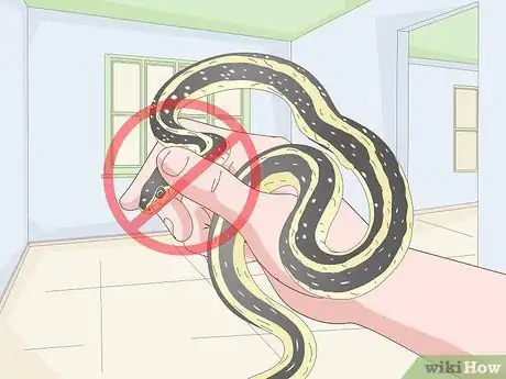 Image titled Tame Snakes Step 10