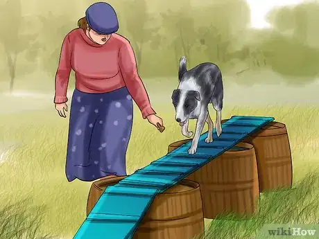 Image titled Design a Dog Agility Course Step 11