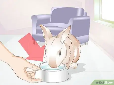 Image titled Teach a Rabbit Not to Chew Furniture Step 5