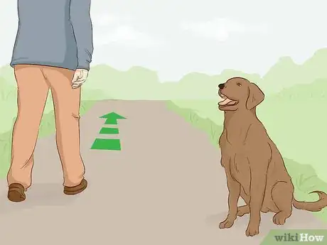 Image titled Stay Safe when a Dog Approaches You Step 3.jpeg