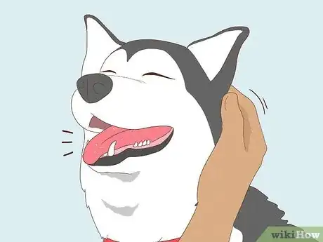 Image titled Make a Dog Laugh Step 9