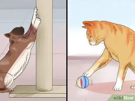 Image titled Move with a Cat Step 12