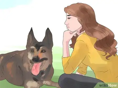 Image titled Bond With Your Dog Step 14