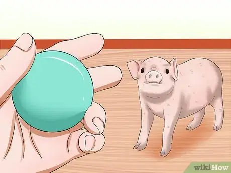 Image titled Play with a Piglet Step 13