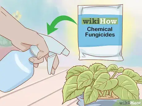 Image titled Get Rid of Powdery Mildew on Plants Step 11