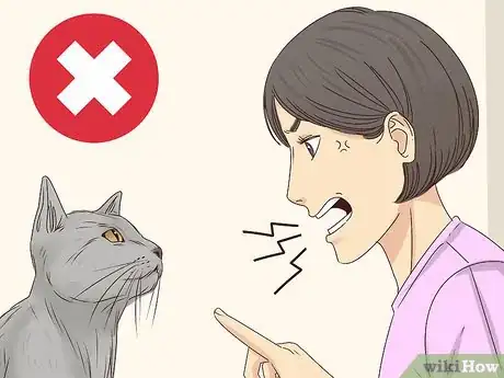 Image titled Get a Cat to Stop Meowing Step 20