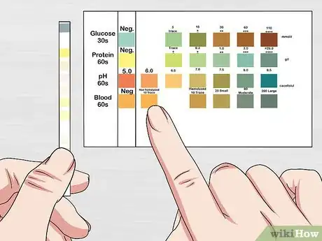 Image titled Use a Urine Dipstick Test Step 8