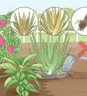 Choose the Best Time for Watering a Garden