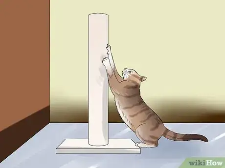 Image titled Move with a Cat Step 10