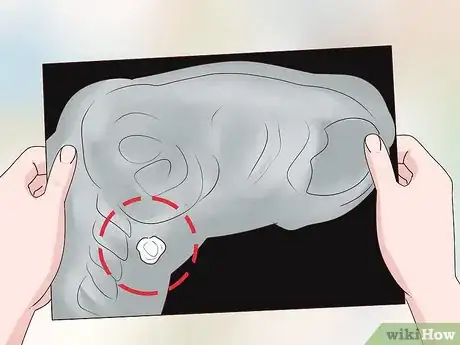 Image titled Help a Choking Chinchilla Step 9