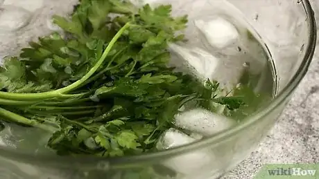 Image titled Freeze Cilantro Step 5