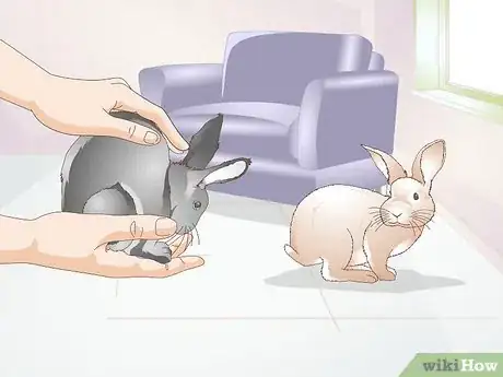 Image titled Teach a Rabbit Not to Chew Furniture Step 9