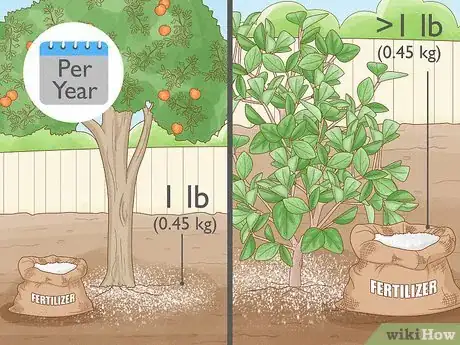 Image titled Fertilize a Citrus Tree Step 8