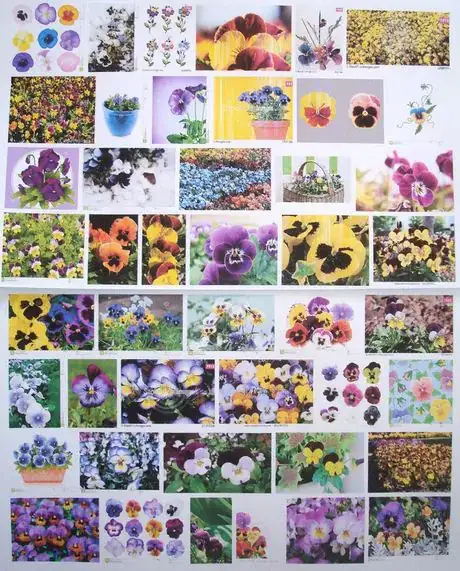 Image titled Inspiringpansies