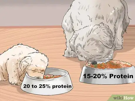 Image titled Feed Your Shih Tzu Step 11