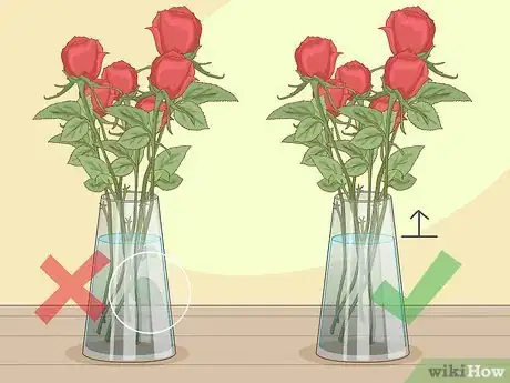 Image titled Revive Roses Step 9