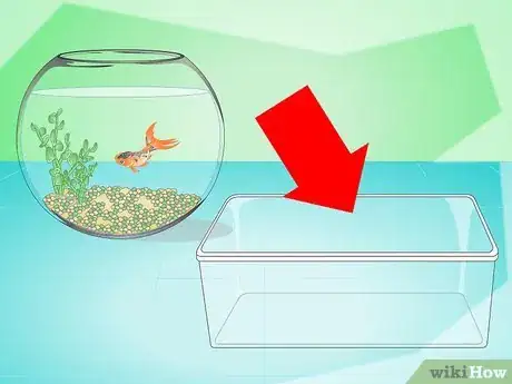 Image titled Change the Water in a Fish Bowl Step 1