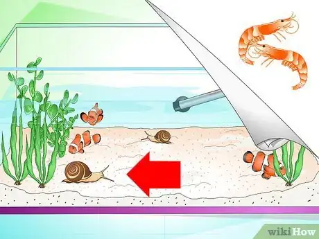 Image titled Tell if Your Fish Is Sick Step 25