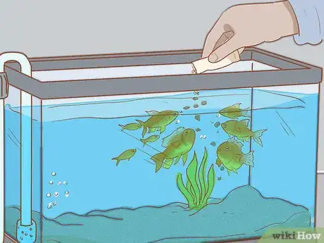 Image titled Add Fish to a New Tank Step 15