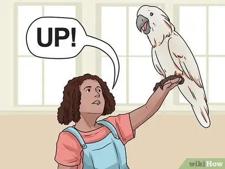 Image titled Teach Your Bird to Talk Step 8