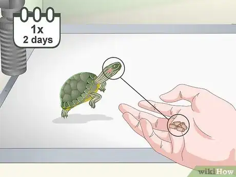 Image titled Feed a Red‐Eared Slider Turtle Step 6