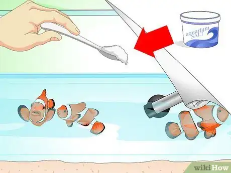 Image titled Tell if Your Fish Is Sick Step 17