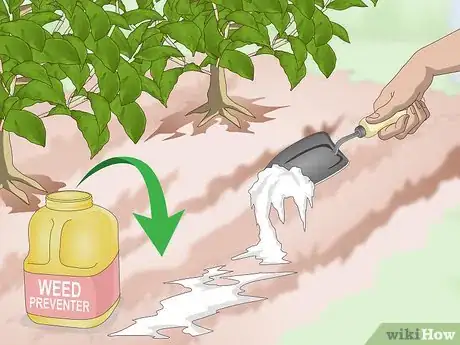 Image titled Get Rid of Bindweed Step 5